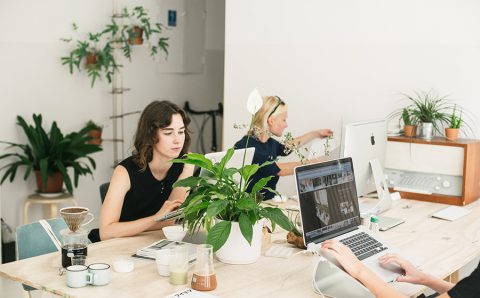 Build beautiful landing pages and pipelines